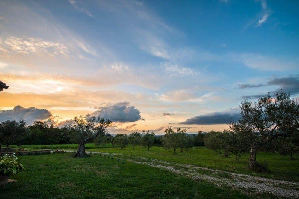 B&B Predio San Fernando Acquapendente Luaran gambar